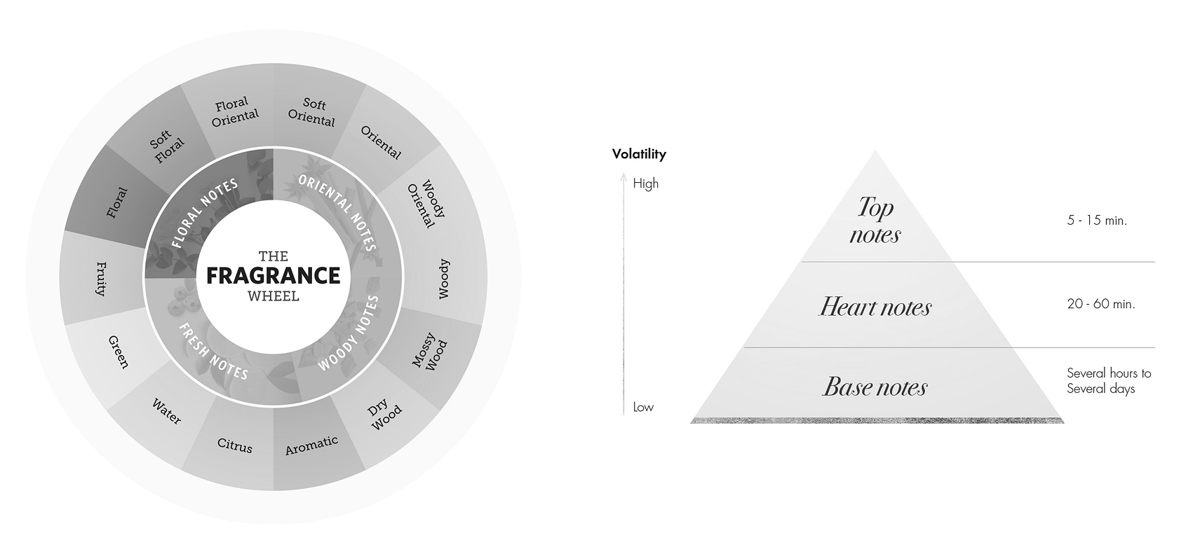 A Fragrance wheel displaying different scent categories and a fragrance pyramid diagram illustrating top, middle, and base notes in a structured format for scent classification.