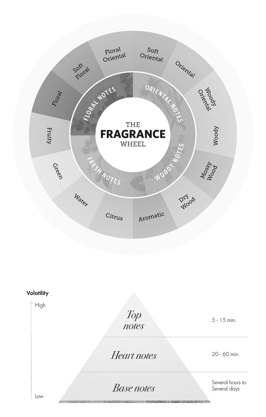 A Fragrance wheel displaying different scent categories and a fragrance pyramid diagram illustrating top, middle, and base notes in a structured format for scent classification.