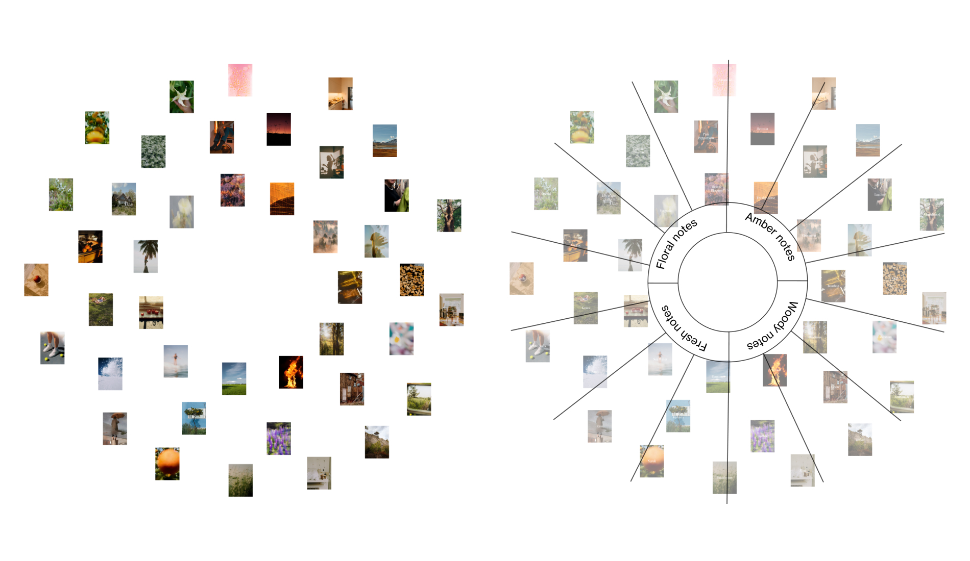 A circular diagram displaying various photographs with an overlay of the Fragrance Wheel structure on top of it.